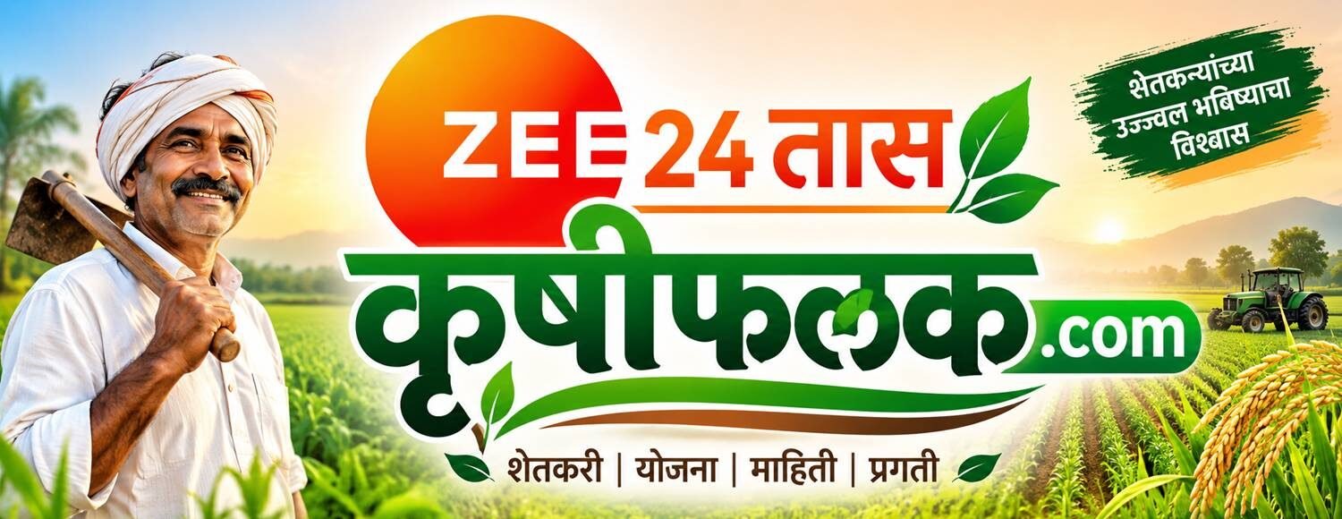 Zee 24 taas